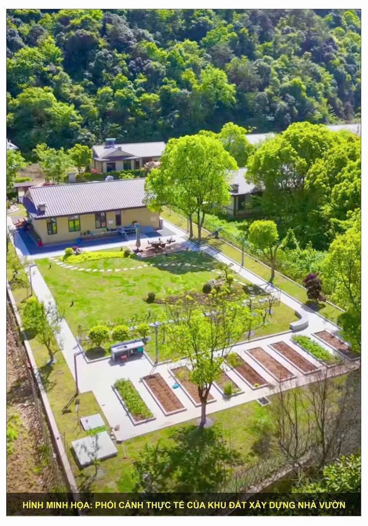 Đất nền khu tái định cư phường Tân Triều 2200m² giá 6.8 tỷ - Cơ hội đầu tư sinh lời!