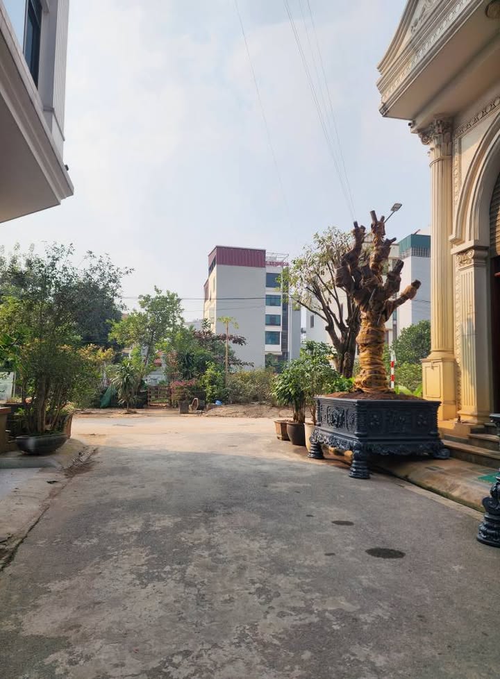 Đất dịch vụ Vân Canh 60m² giá thỏa thuận - Cơ hội đầu tư siêu hấp dẫn!