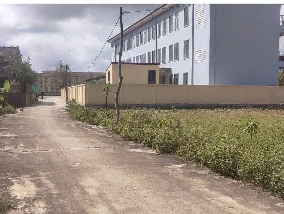 Đất Thạch Hôi 440m² giá chỉ 1.3 tỷ - Vị trí đắc địa gần trường học!