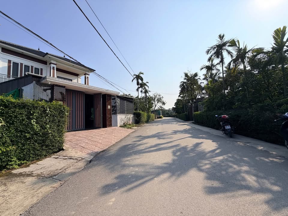 Đất thổ cư thôn Bình Minh, Cẩm Xuyên 234,5m² giá 2,9 tỷ - Vị trí đẹp, giao thông thuận lợi!