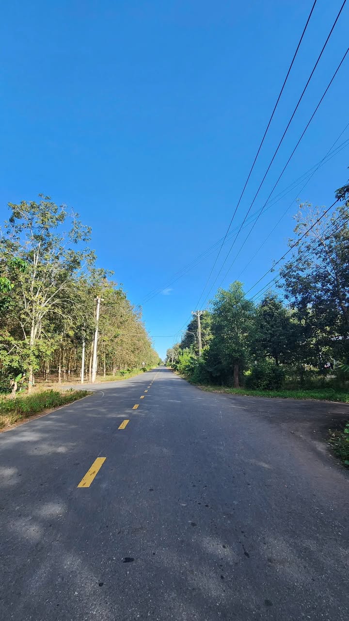 Đất thổ cư 2190m² mặt tiền đường DH618 Lai Uyên - Giá chỉ 6,5 tỷ VND!