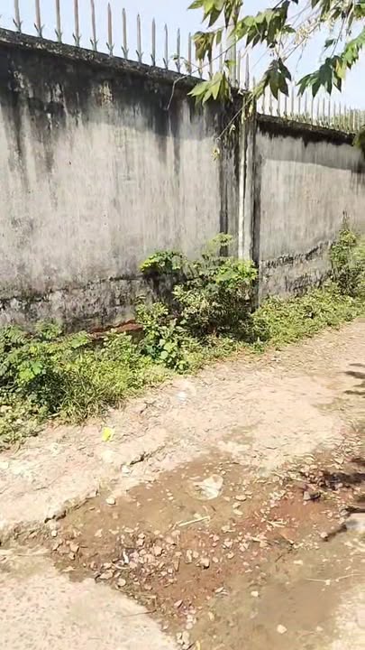 Đất nền 2.200m² Ấp 1 Hiệp Phước Nhơn Trạch - Giá đầu tư hấp dẫn 13.5 tỷ