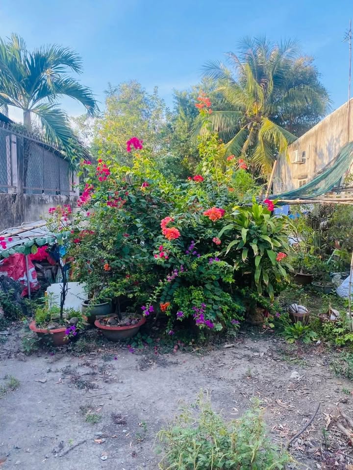 Đất thổ cư Cần Giuộc Long An 117m² giá 1.35 tỷ - Sổ hồng chính chủ, vị trí đắc địa!