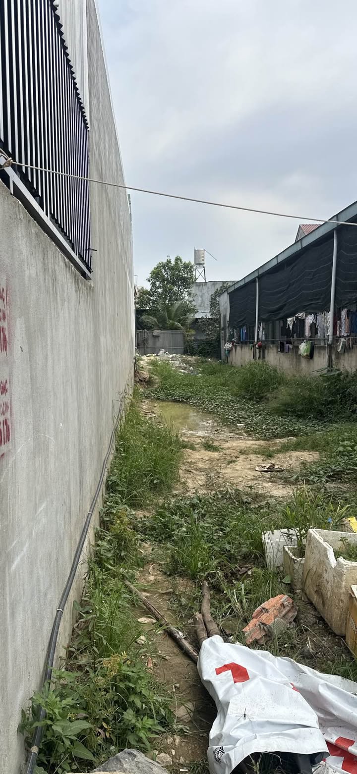 Đất nền 100m² tại Trại Gà Sông Mây, Bình Minh, Trảng Bom - Giá chỉ 300 triệu!