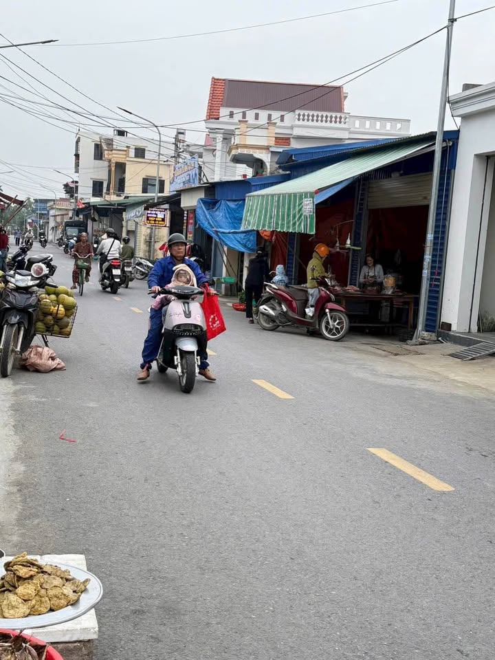 Đất nền Thạch Lựu, An Thái, An Lão 86.1m² giá 1.3 tỷ - Cơ hội đầu tư hấp dẫn!