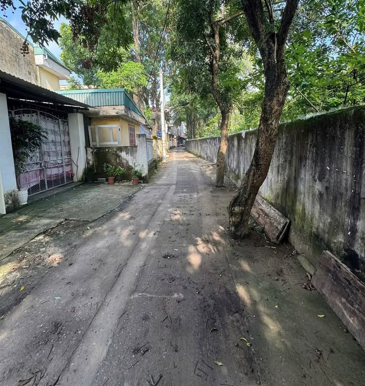 Đất Thị Trấn Vân Đình, Ứng Hòa 83.8m² giá 1.676 tỷ - Ngay trung tâm tiện ích!