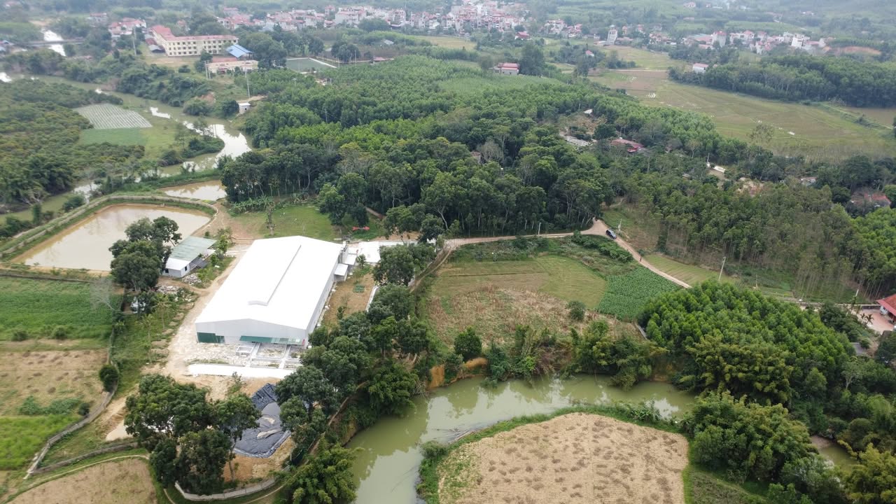 Lô đất vườn 4000m² xã Tam Tiến 2 tỷ - Cạnh suối, không ngập lụt!