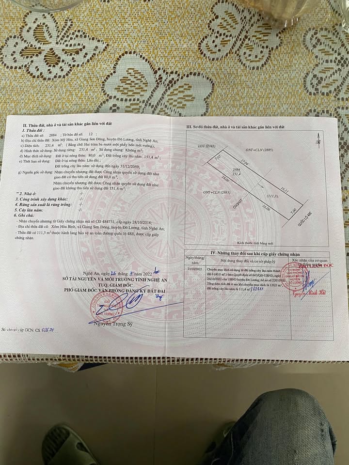 Đất mặt đường Quốc lộ 48E, Giang Sơn Đông 231,4m² - Phù hợp kinh doanh, xây dựng nhà ở!