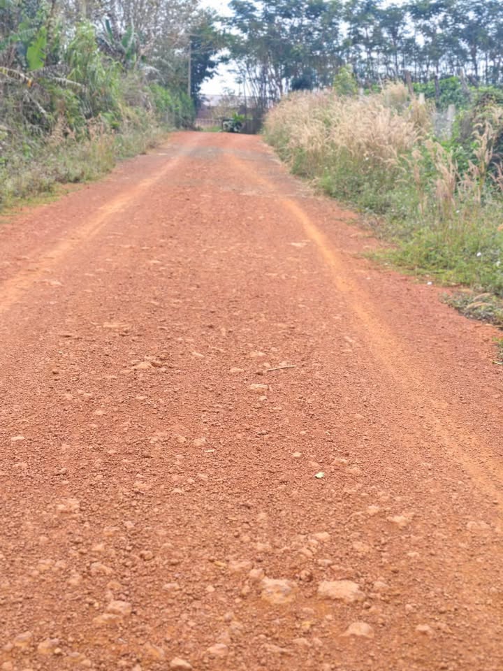 Đất nền xã Quảng Sơn 2000m² giá 3 tỷ - Cơ hội đầu tư hấp dẫn!