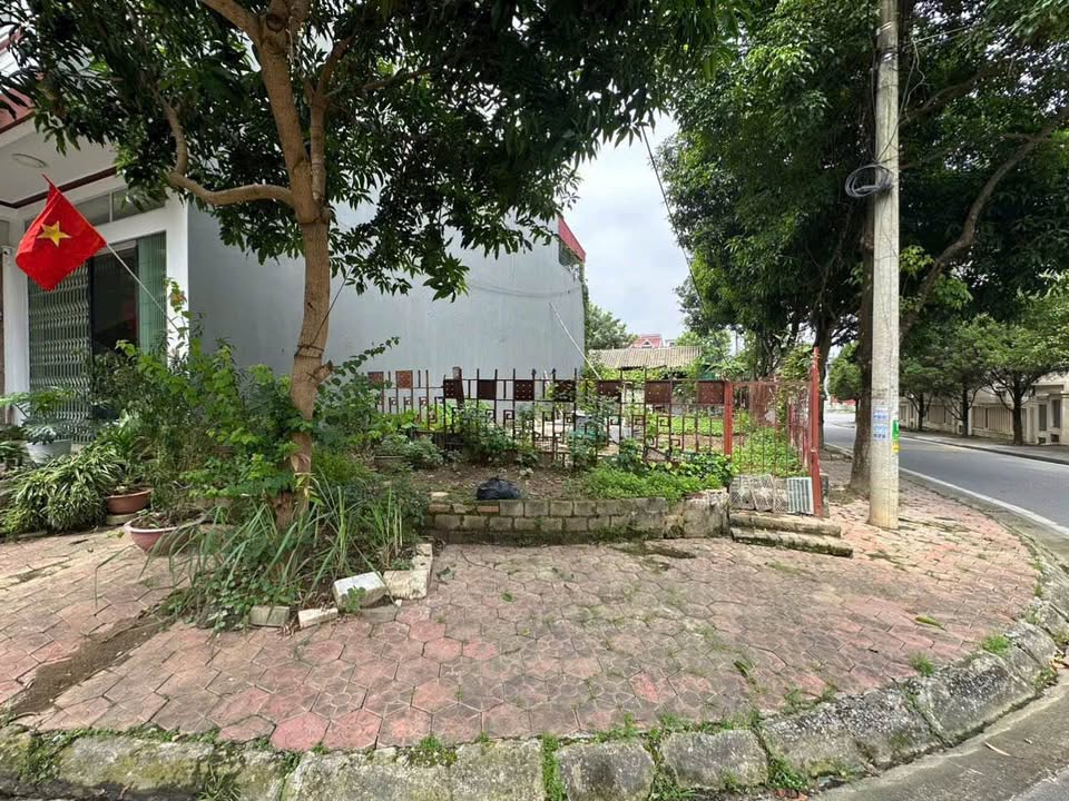 Đất nền lô góc Hoàng Quy 164m² giá 5.3 tỷ - Hướng Đông Nam đẹp hiếm có!