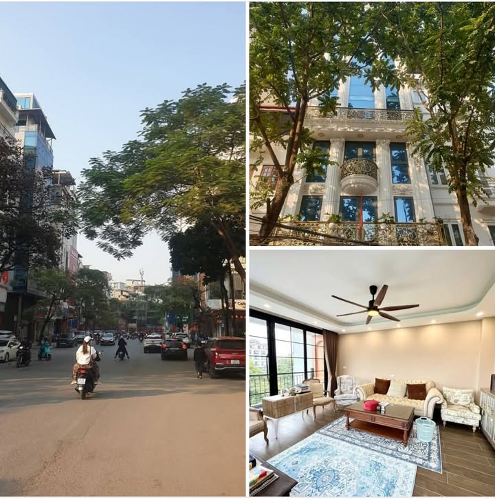 Nhà riêng Ngõ 36 Giang Văn Minh, Ba Đình 85m² giá 47.5 tỷ - Vị trí kim cương giữa lòng Hà Nội!