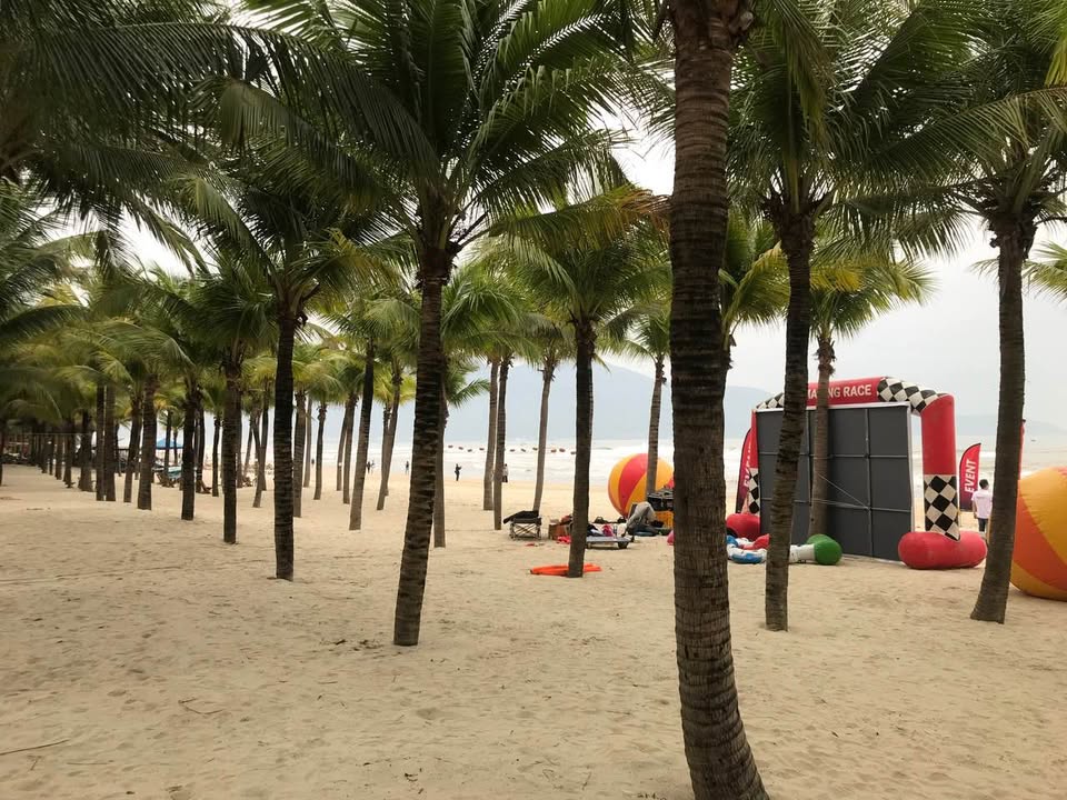 Đất nền Phước Mỹ, Sơn Trà 119m² giá thỏa thuận - Đối diện chợ, tiềm năng khai thác cao!