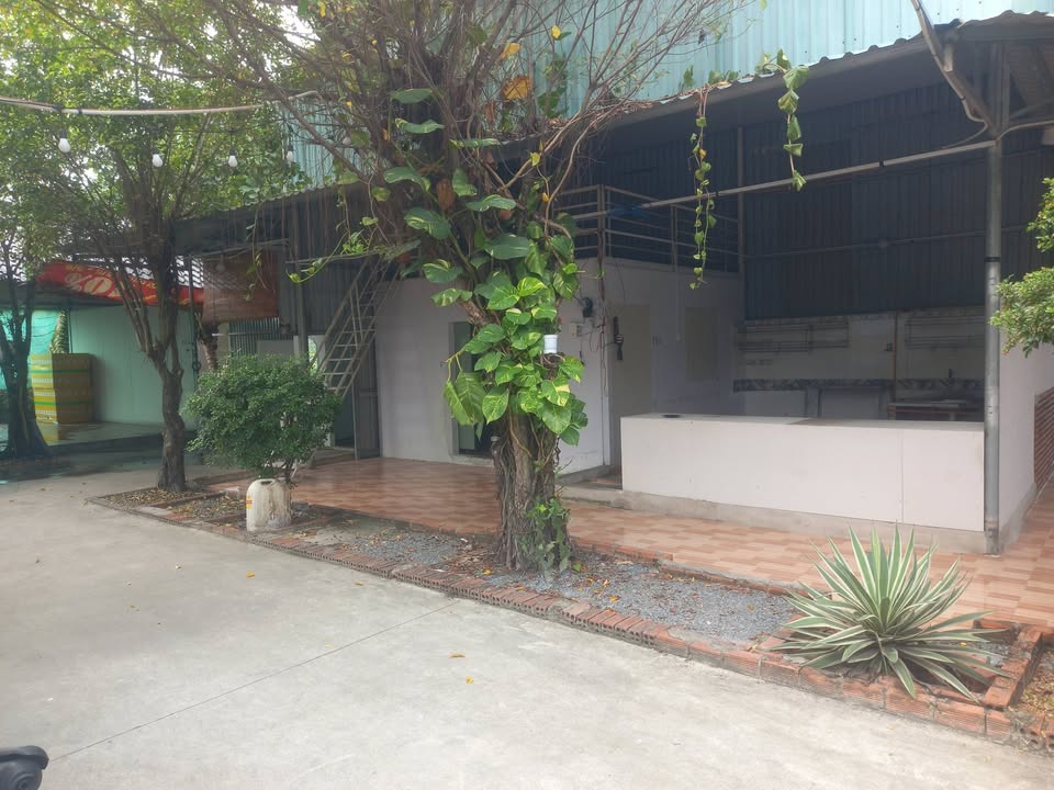 Mặt bằng kinh doanh cho thuê tại Phường Tân Đông Hiệp, Dĩ An - Diện tích 1000m², giá chỉ 15 triệu/tháng!