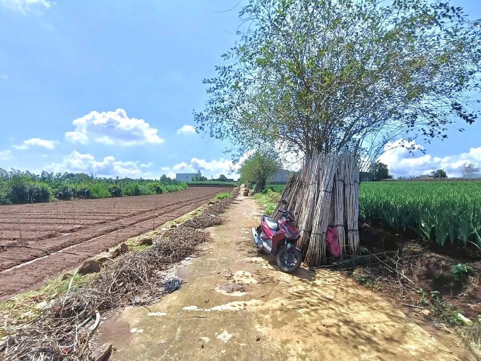 Đất nền 380m² tại Liên Nghĩa, Đức Trọng - Giá chỉ 2.7 tỷ, sổ đỏ chính chủ!