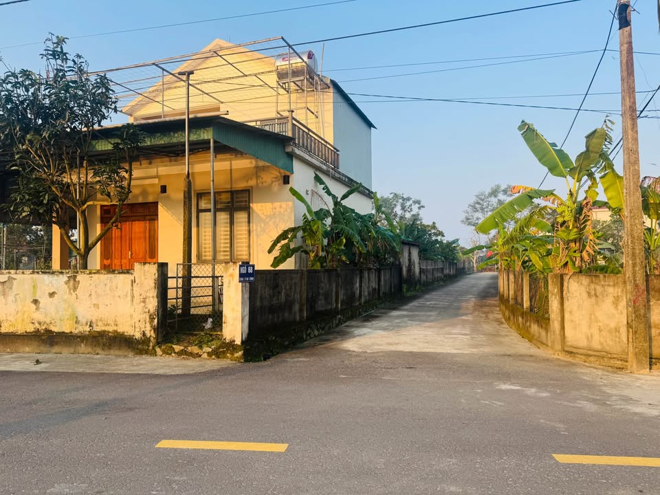 Đất nền Hưng Yên 254m² giá 2.057 tỷ - Đường Lê Bá Cảnh, vị trí đẹp!