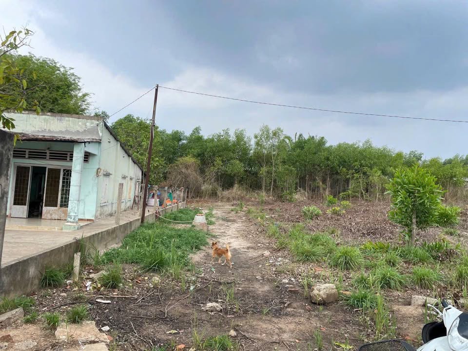 Đất nền Tam Phước Biên Hòa 130m² giá 800 triệu - Vị trí đắc địa gần KCN Long Thành!