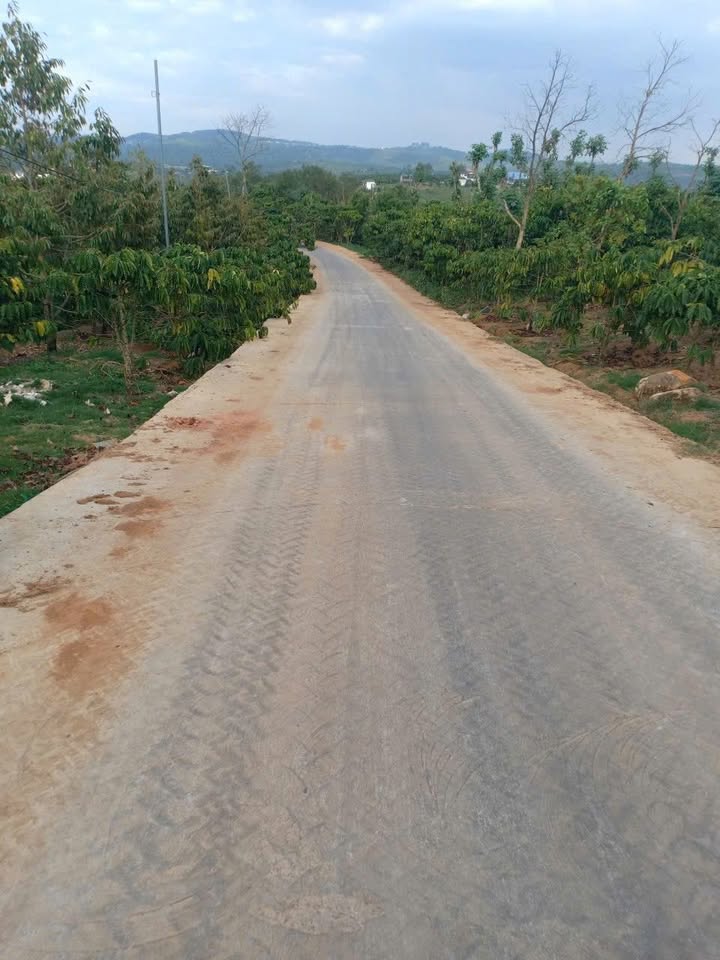 Đất thổ cư 90.000m² mặt đường bê tông xã Liên Đầm - Giá chỉ 420 triệu