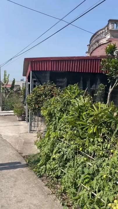 Bán đất khu 10 Rạng Đông 130m² giá 1.2 tỷ - Vị trí đắc địa, pháp lý rõ ràng!