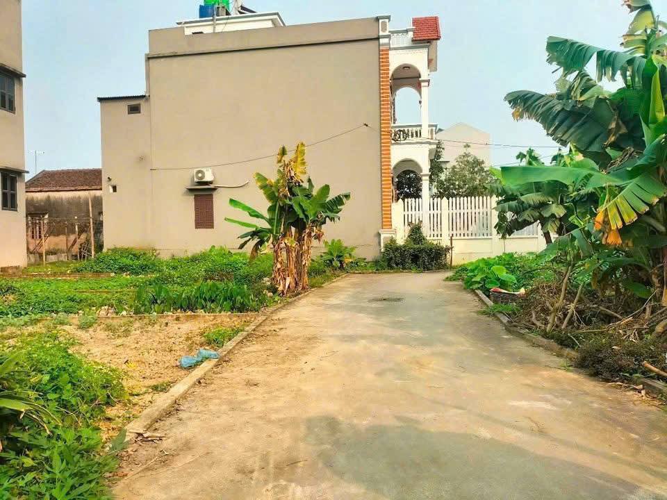 Đất lô góc 60m² tại Hoà Phong, Mỹ Hào, Hưng Yên giá 1.0 tỷ - Cơ hội đầu tư hiếm có!