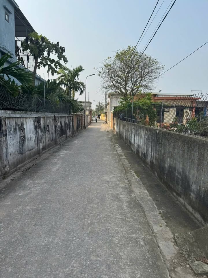 Đất nền Giao Thủy 451m² giá 1.4 tỷ - Cơ hội đầu tư tuyệt vời!