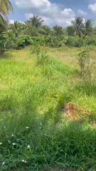 Đất nền xã Nhị Bình, huyện Châu Thành, 140m² giá 480 triệu - Sổ hồng thổ cư 100%!