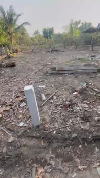 Đất nền liền kề xã Nhị Quý, 50m² chỉ 320 triệu - Đầu tư sinh lời ngay!