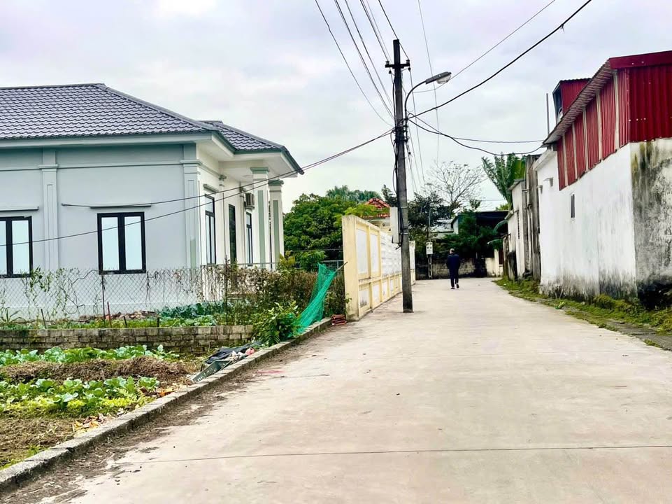 Đất nền Quảng Đức 161m² giá thỏa thuận - Đầu tư sinh lời ngay!