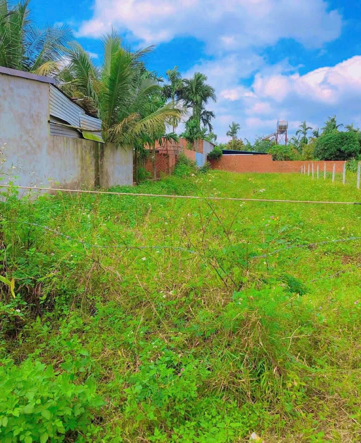 Đất nền khu vực Trung Hoà Ea Ktur 430m² giá 7.31 tỷ - Mặt tiền đường nhựa thuận lợi!