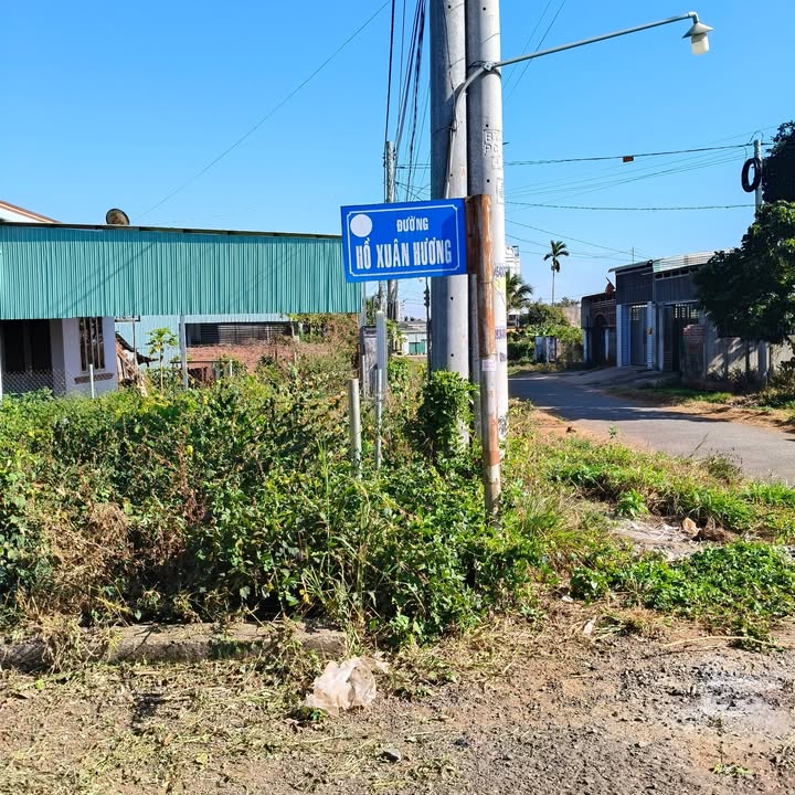 Đất Hồ Xuân Hương Đà Lạt 175m² giá 1.25 tỷ - Đầu tư sinh lời hấp dẫn!