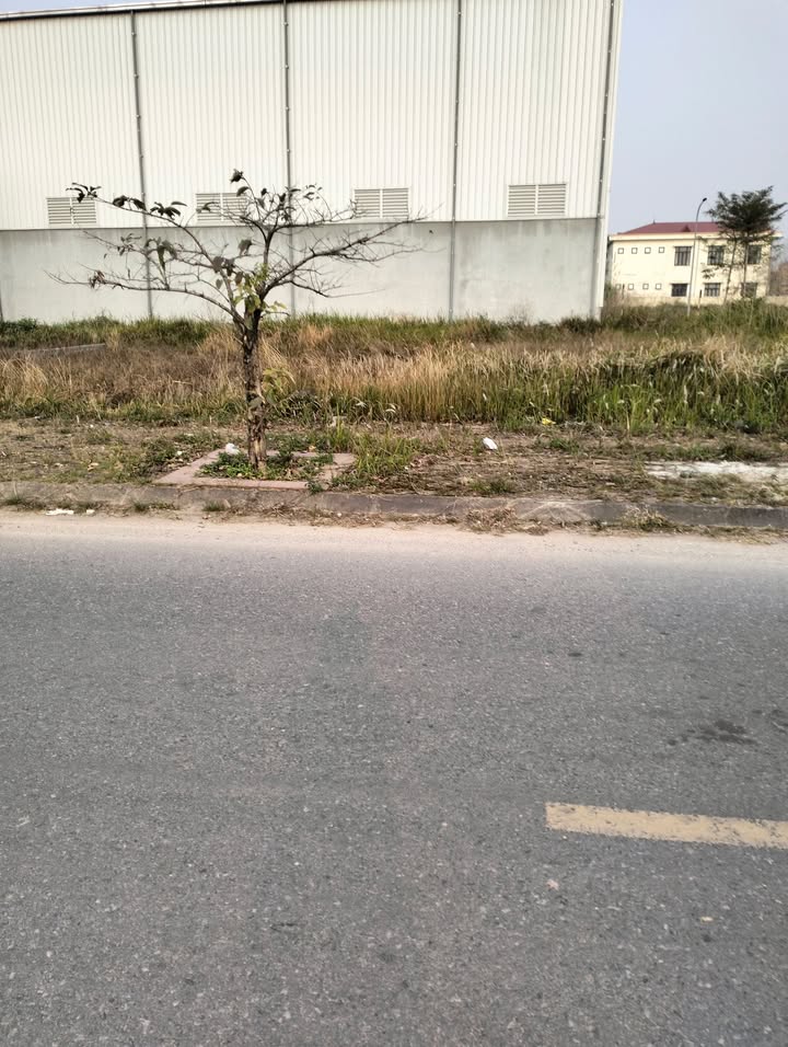 Đất nền Thị trấn Thắng 95m² giá 2 tỷ - Vị trí trung tâm, giao thông thuận lợi!