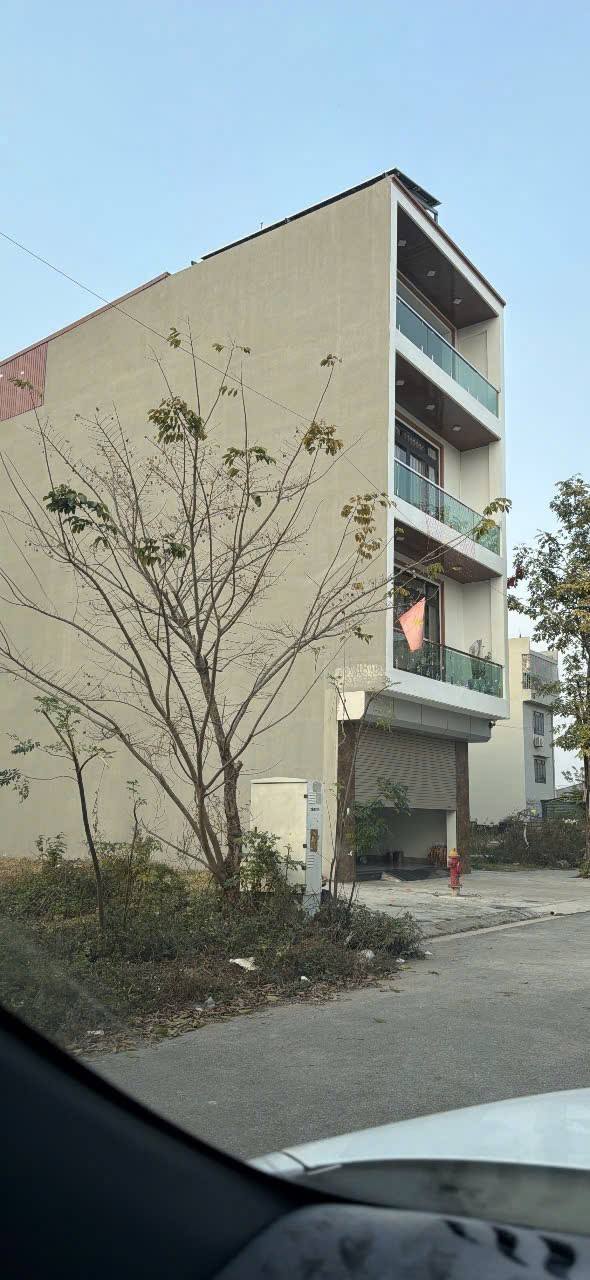 Đất Bích Động Bắc Ninh 81m² giá 2.x tỷ - Kinh doanh thuận lợi ngay trục chính!