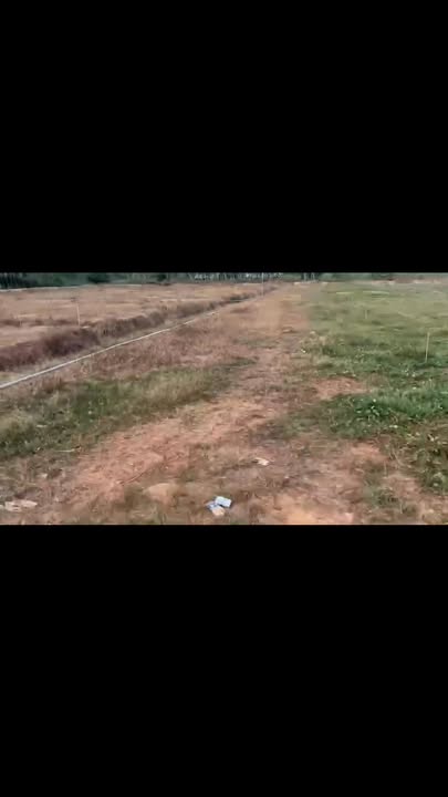 Đất trống 7200m² KP3 Tân Khai giá 1.1 tỷ - Cơ hội đầu tư hấp dẫn!