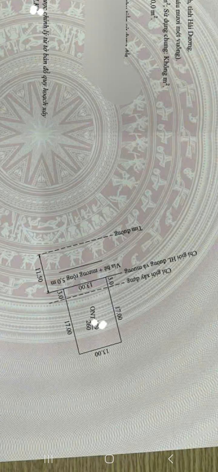 Đất nền 260m² tại xã Hưng Đạo, Chí Linh - Sổ đỏ chính chủ, giá chỉ 1 tỷ!