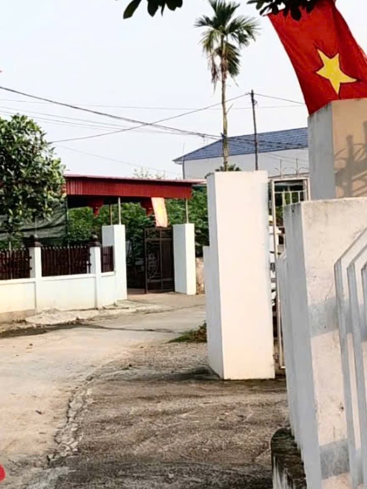 Đất nền Trung Mầu, Bình Xuyên 98m² giá 1 tỷ - Vị trí đắc địa gần KCN