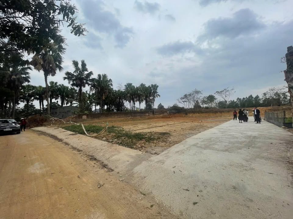 Đất nền Hướng Đạo, Tam Dương 102m² giá 500 triệu - Cơ hội đầu tư hấp dẫn!