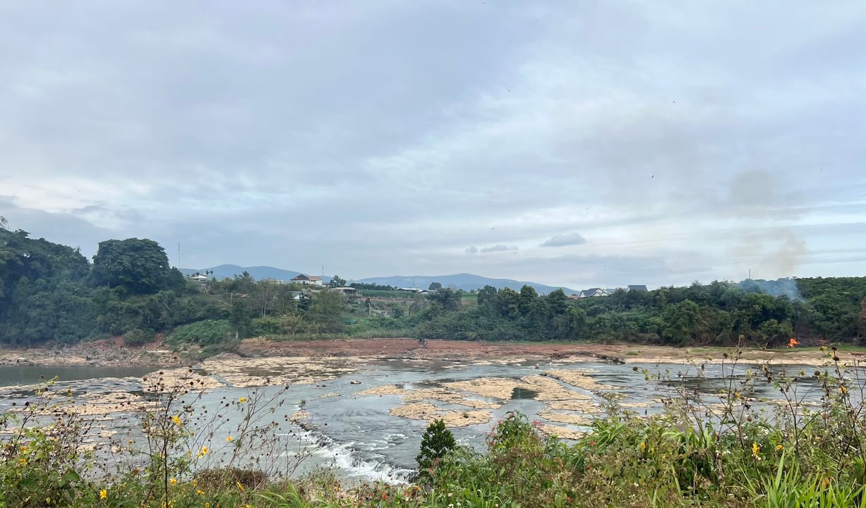 Đất nền Bồng Lai Đức Trọng 140m² giá 1.115 tỷ - Đầu tư sinh lời ngay!