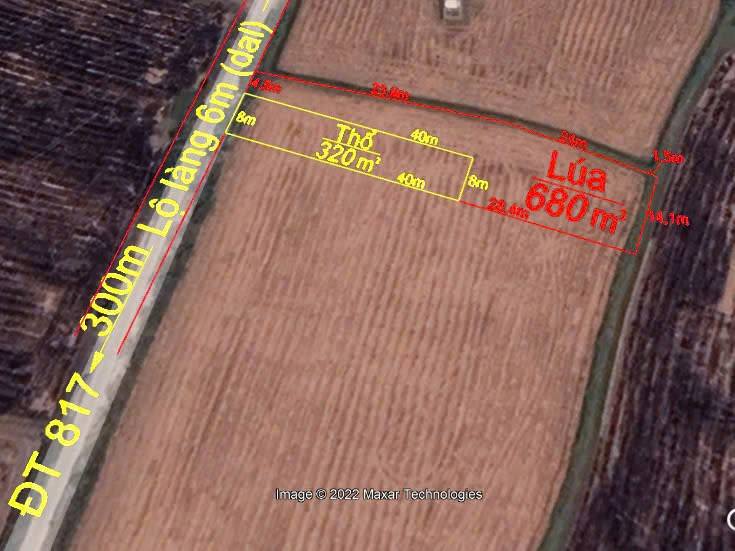 Đất thổ cư 1000m² tại Xã Mỹ Thạnh, chỉ 1.2 tỷ - Đầu tư sinh lời ngay!