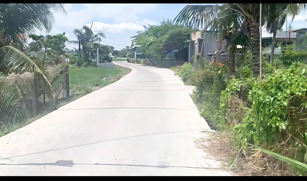 Đất thổ cư Khánh Hậu Tân An 1148m² giá 4.6 tỷ - Cơ hội đầu tư tuyệt vời!