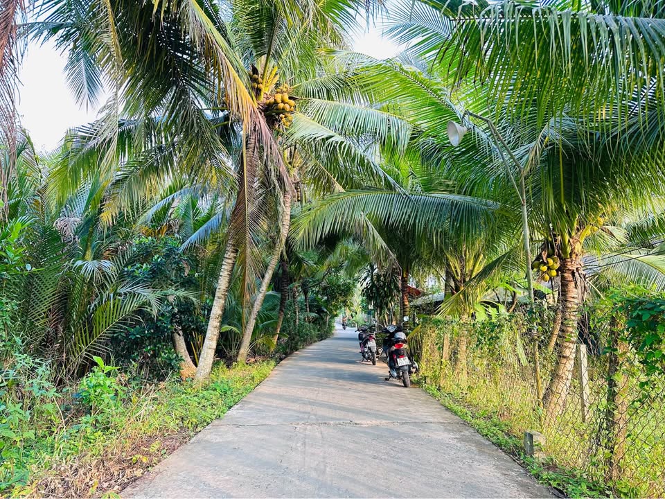 Đất nền Vĩnh Kim, Đồng Tháp 280m² giá chỉ 350 triệu - Sổ hồng chính chủ, ô tô vào tận nơi!