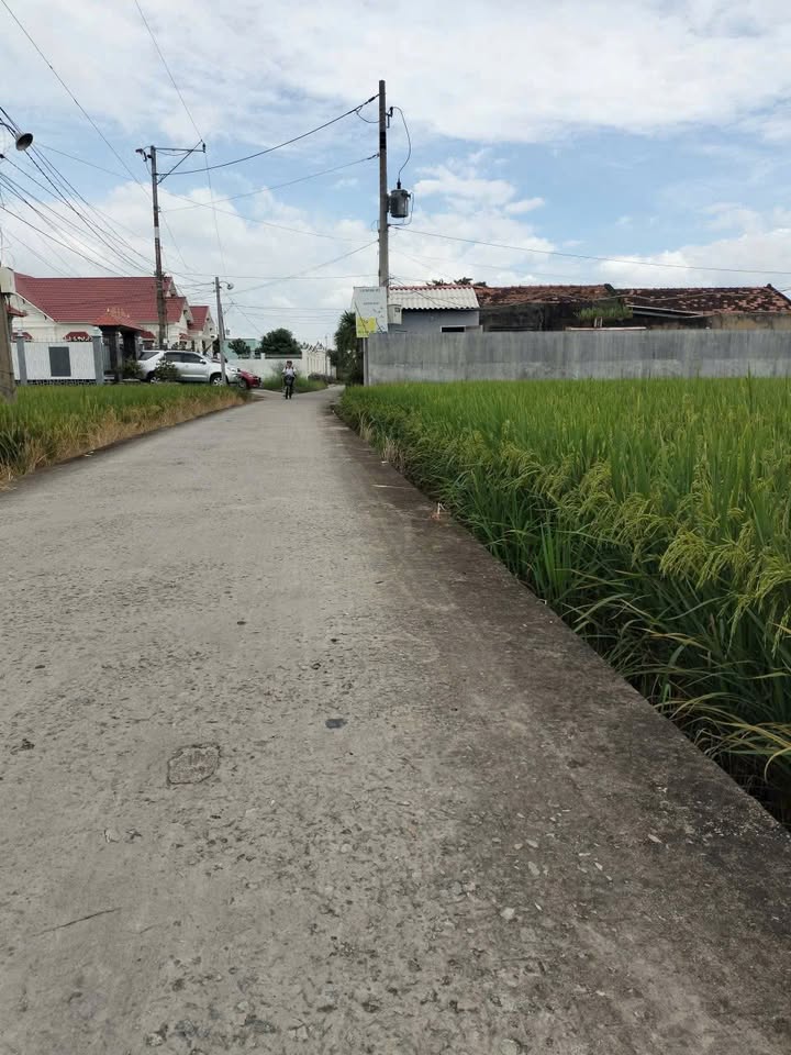 Đất lúa 3440m² xã Đức Tân giá 700 triệu - Cách chợ chỉ 500m!