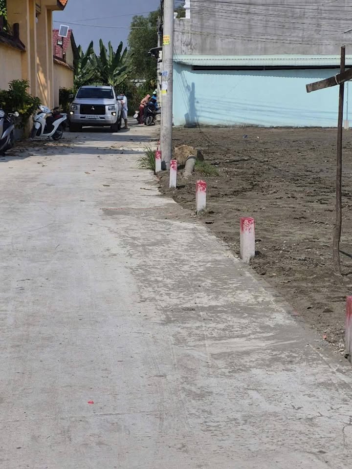 Đất thổ cư Cần Giuộc 188m² giá 1.65 tỷ - Cơ hội đầu tư hấp dẫn!