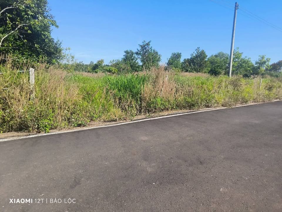 Đất mặt tiền Lê Thị Riêng, Bảo Lộc 4204m² giá 10.5 tỷ - Đầu tư lâu dài sinh lời!