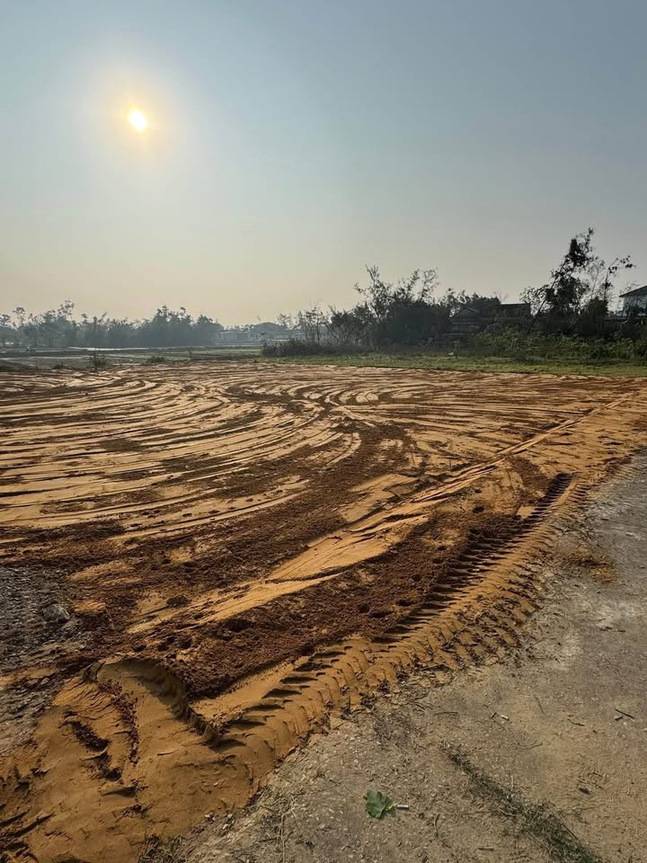 Đất Nghi Thịnh 172m² giá 1 tỷ - Cơ hội đầu tư lý tưởng!