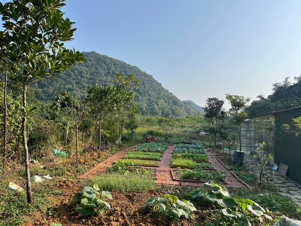 Đất nền trung tâm huấn luyện công an Bù Đăng 315m² giá 80 triệu - Đầu tư sinh lời ngay!