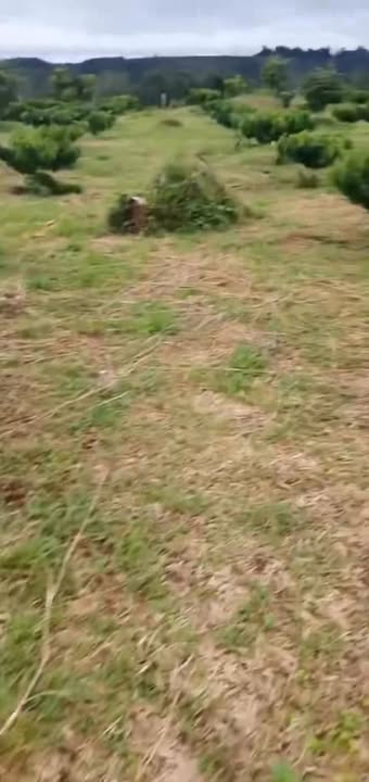 Farm 9000m² xã Đồng Nai Bù Đăng giá 1.35 tỷ - Đầu tư sinh lời hấp dẫn!