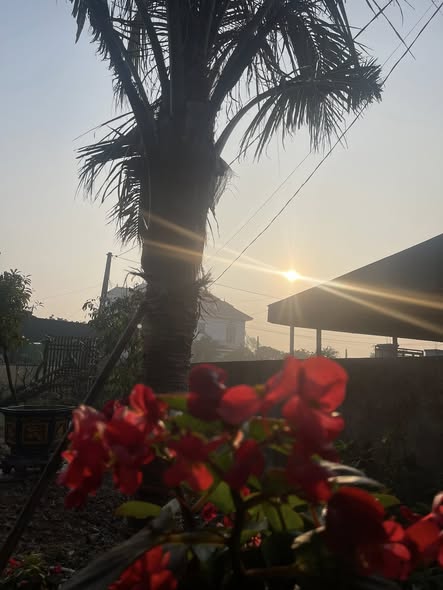 Đất nền QL 1A, xã Cẩm Sơn, 140m² - Giá cực hấp dẫn!