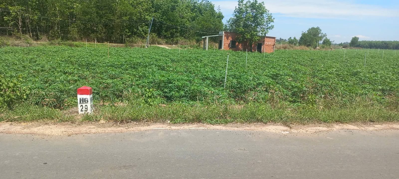 Đất nền mặt tiền DT792 Tân Hà, Tân Châu 1000m² giá chỉ 7xx triệu - Cơ hội đầu tư tuyệt vời!