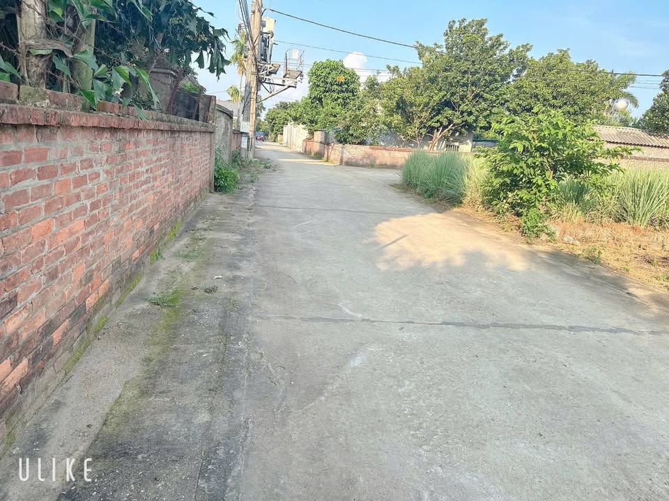 Lô đất đẹp 135m² tại Quốc Oai - Giá đầu tư hấp dẫn!