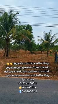 Đất nền 520m² tại Đường Thông, Dầu Tiếng, Bình Dương - Sổ đỏ chính chủ, giá chỉ 2 tỷ!