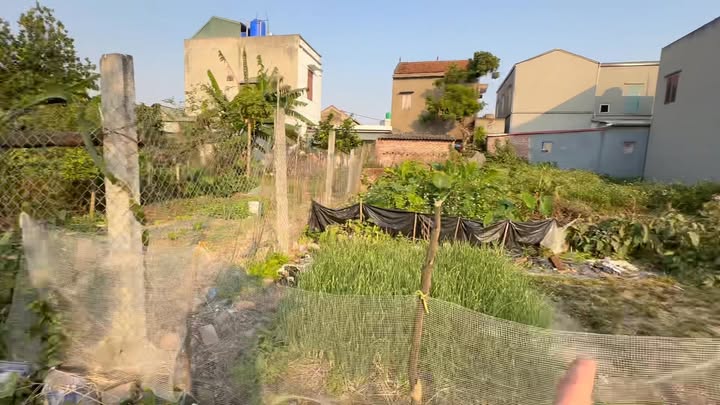 Đất nền thôn Bình An, xã Tân Việt, Bình Giang 102m² - Cơ hội đầu tư sinh lời!